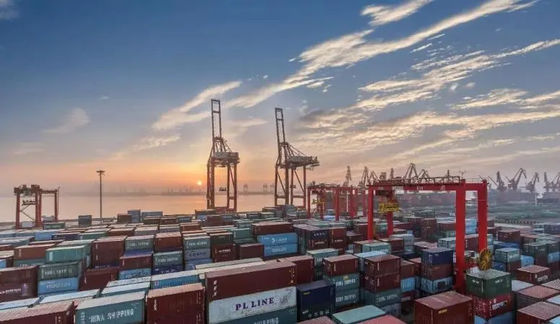 Servizio cinese di sdoganamento del porto di Ningbo per l'agente dell'importazione dell'esportazione di LCL