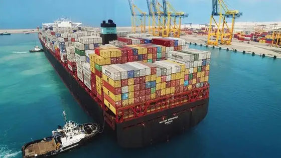 La Cina a trasporto BRITANNICO del contenitore del trasporto marittimo di LCL 20GP 40GP LCL