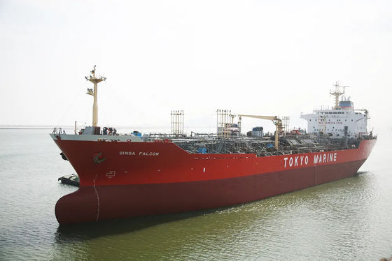 Trasporto internazionale del mare del carico della Cina dello spedizioniere dell'importazione globale dell'esportazione