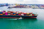 La Cina a di Singapore LCL trasporto il CIF più di meno del trasporto del carico del contenitore