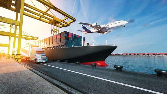 Trasporto marittimo internazionale di servizi FCL del carico del mare Cina nel Vietnam 20GP 40HQ