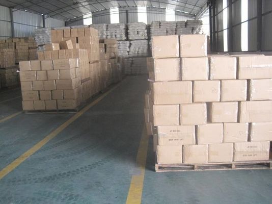 Logistica del porto di Shanghai che immagazzina trasporto che immagazzina CATENA DELL'OROLOGIO/EXW/CIF
