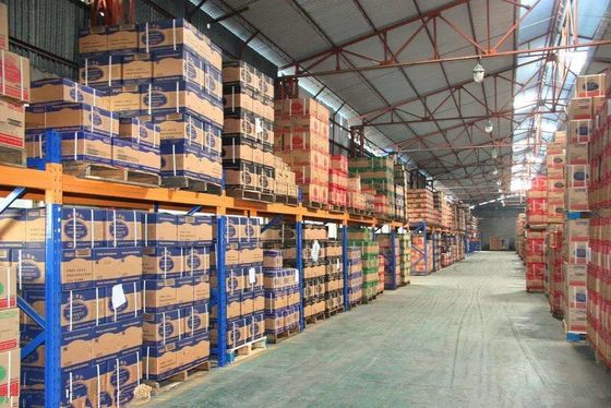 Logistica del porto di Shanghai che immagazzina trasporto che immagazzina CATENA DELL'OROLOGIO/EXW/CIF