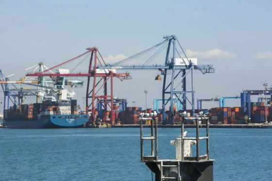 Shanghai Ningbo Tientsin che immagazzina i servizi di distribuzione immagazzina i servizi di stoccaggio