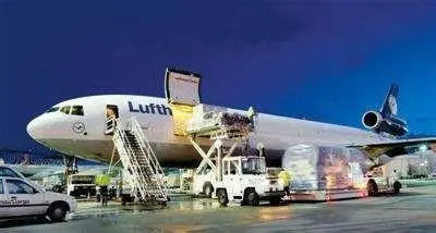 qualità In serie della rottura FCL dell'aereo da trasporto trasporto Ningbo Shanghai nel Canada fabbrica