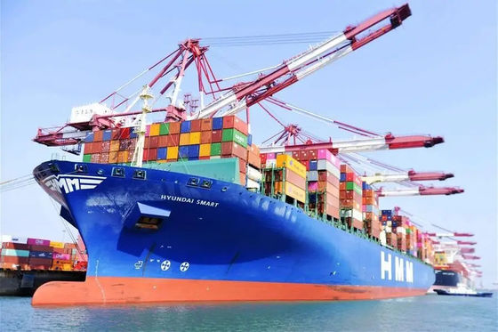 qualità Trasporto marittimo rapido di LCL Cina a trasporto del mare di Phnom Penh LCL fabbrica