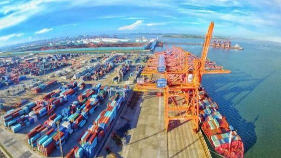 buon prezzo Spedizioniere di Air China del mare a sdoganamento della Russia in linea