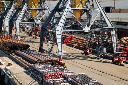 qualità Spedizionieri internazionali Cina dell'oceano di FCL a Medio Oriente fabbrica