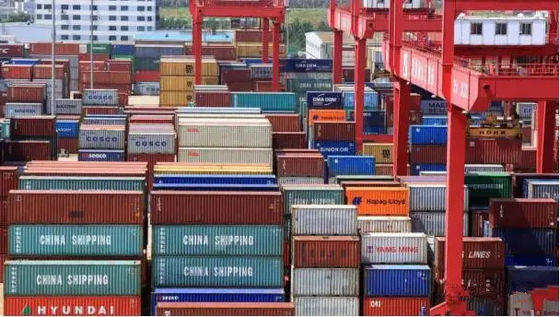 qualità La Cina alla CATENA DELL'OROLOGIO di EXW di trasporto internazionale del trasporto marittimo di Bangkok LCL LCL fabbrica