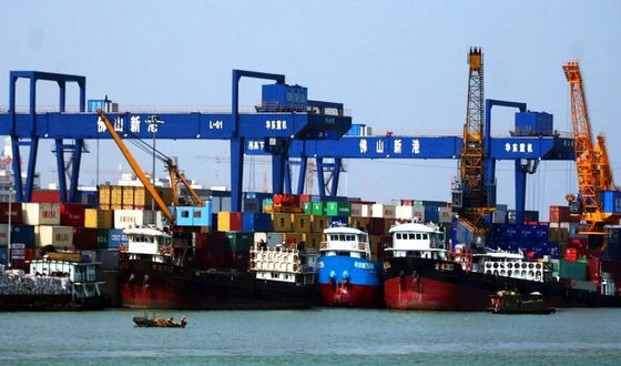 qualità Trasporto logistico globale Cina di Shanghai a Jordan Sea Freight Forwarder fabbrica