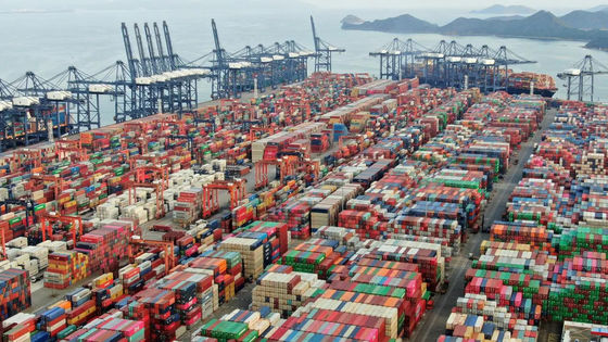 qualità Servizio di bolletta doganale della Cina di sdoganamento della Cina del porto di Xiamen fabbrica
