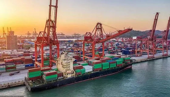 qualità Spedizioniere internazionale Cina dell'oceano 20GP a Mar Nero fabbrica
