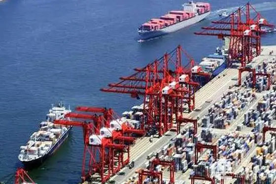 qualità Trasporto internazionale del trasporto marittimo di 20GP 40GP dalla Cina nel Pakistan fabbrica