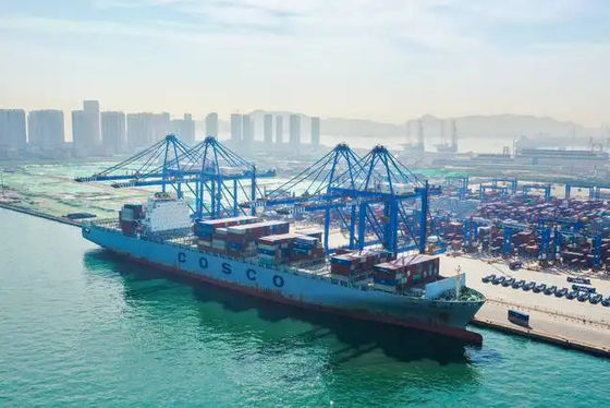 qualità Spedizioniere internazionale dell'oceano dello spedizioniere dell'oceano di Qingdao dalla Cina nel Regno Unito fabbrica