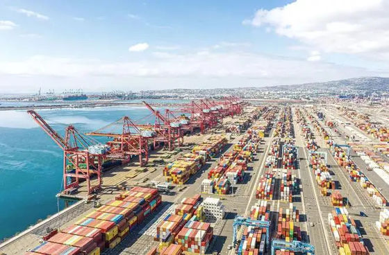 qualità La Cina allo spedizioniere Access istantaneo del Dubai LCL ai programmi di tassi fabbrica